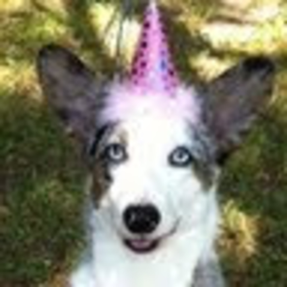 Meet your Posher, Lynn